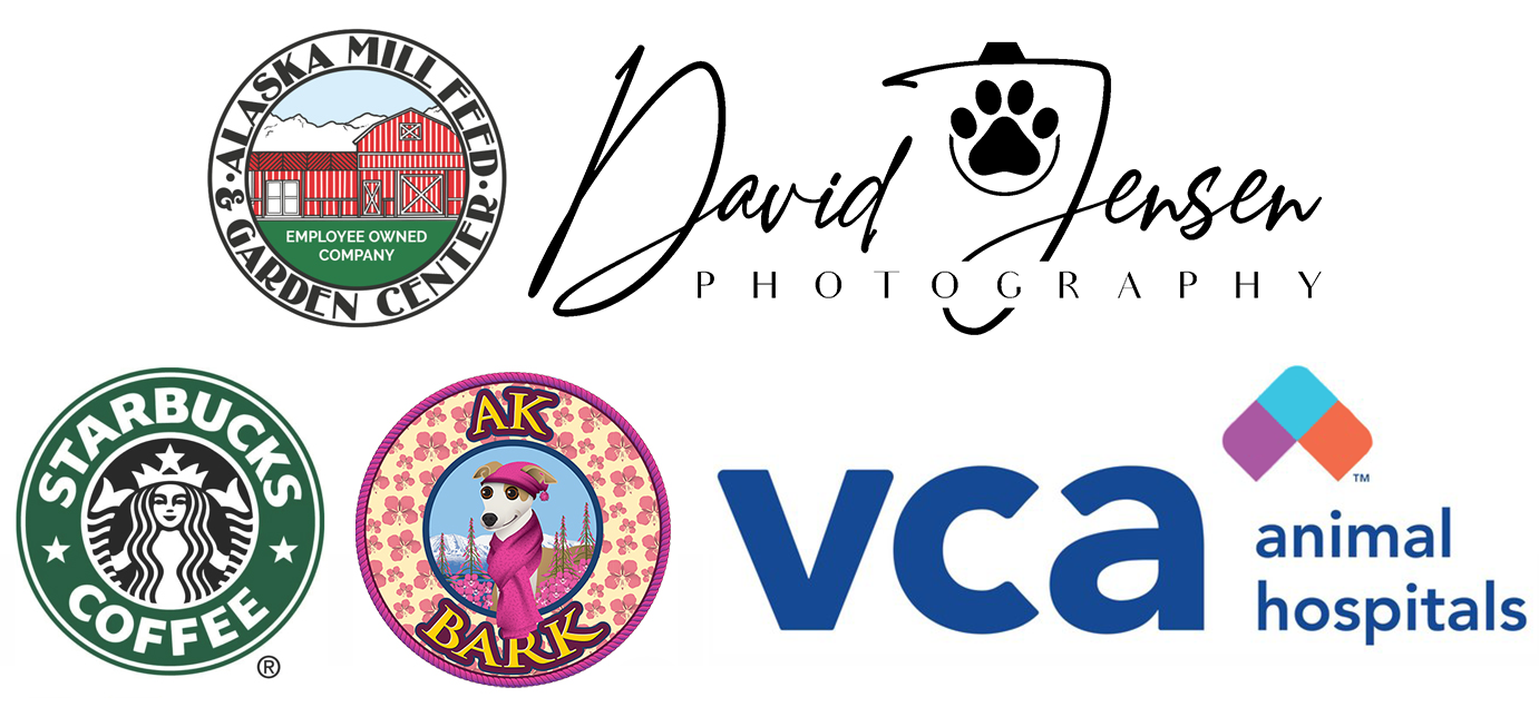 Thanks to our Dog Jog sponsors!