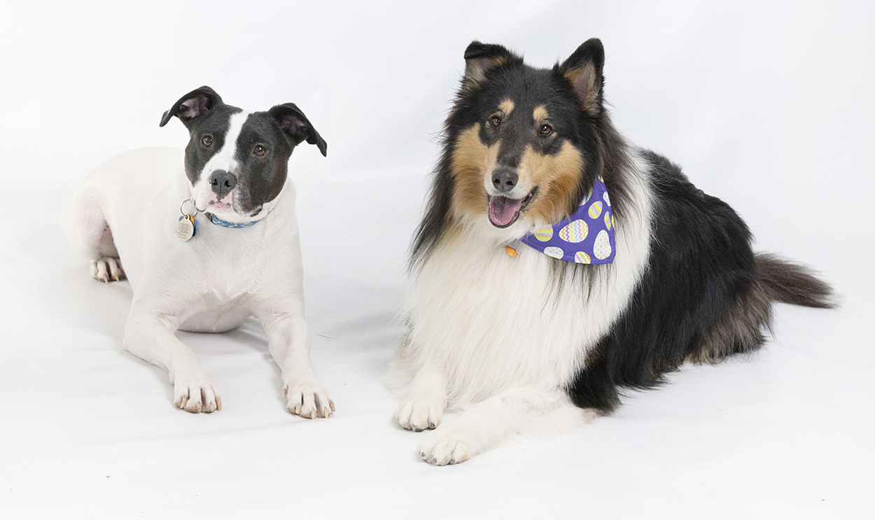 Bodie and Tuli